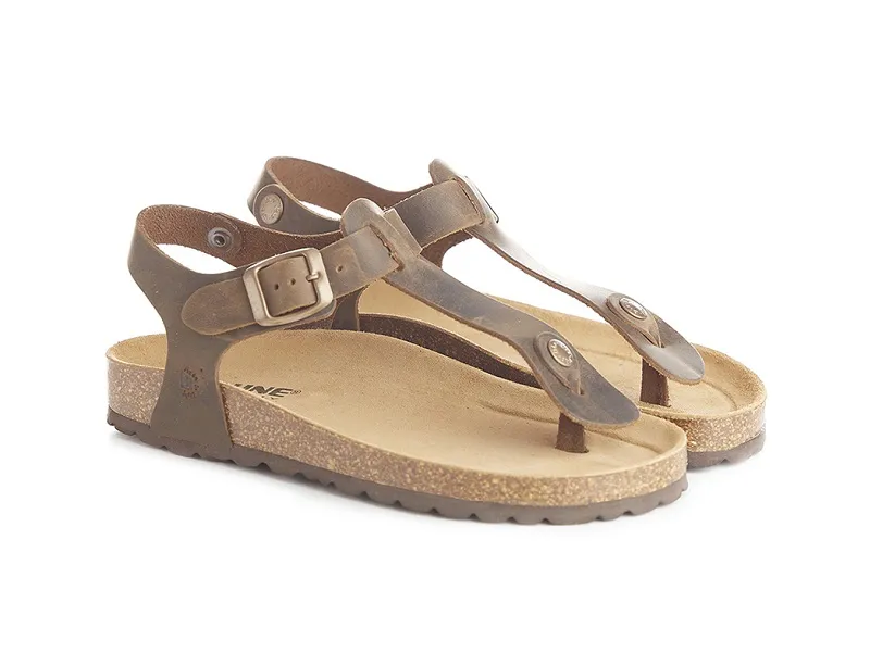 ART. 995 ingrassato marrone