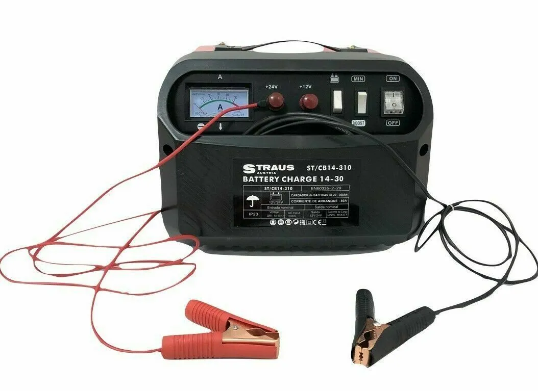 CARICA BATTERIE 12 24V 14