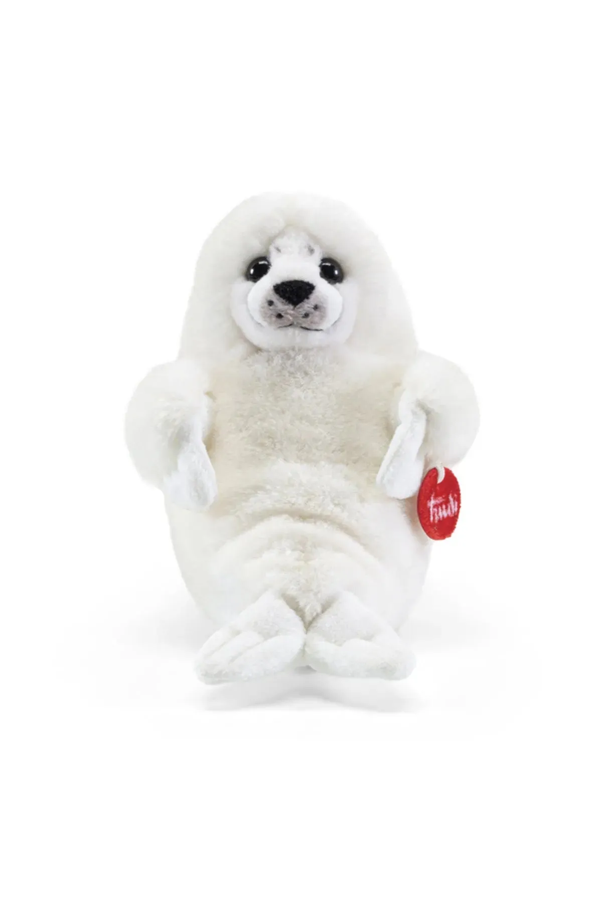 FOCA | Bianca M