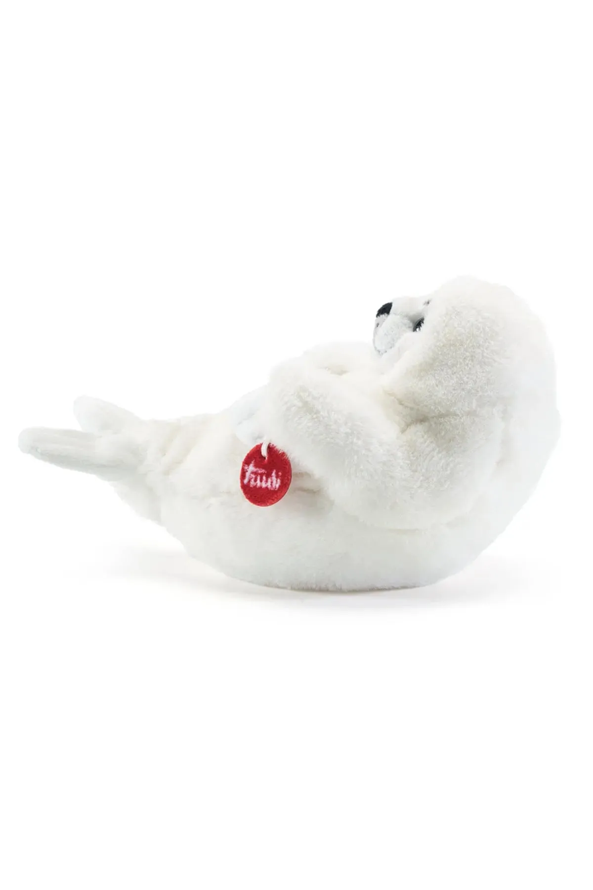 FOCA | Bianca M