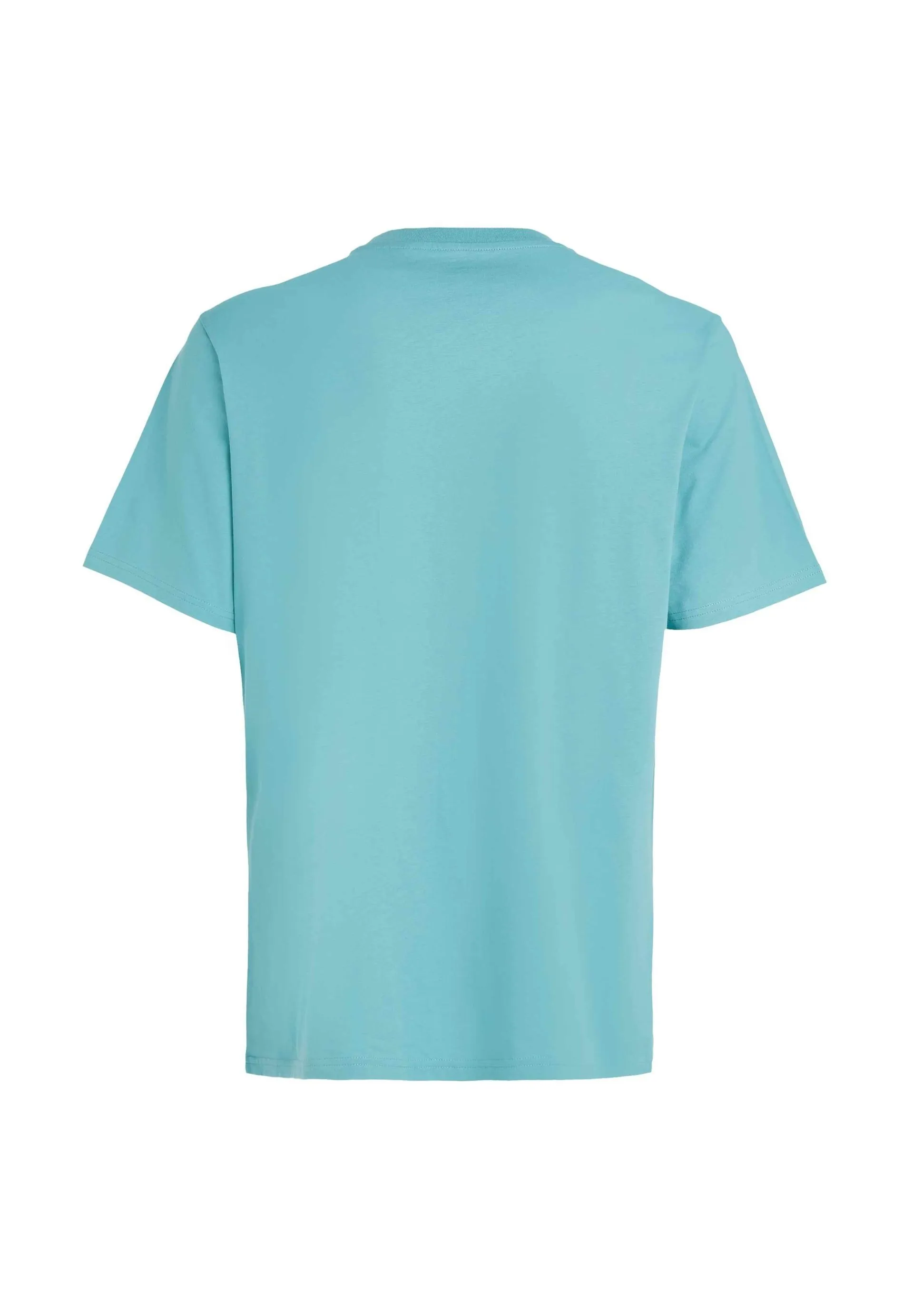 MIX MATCH PALM - T-shirt con stampa