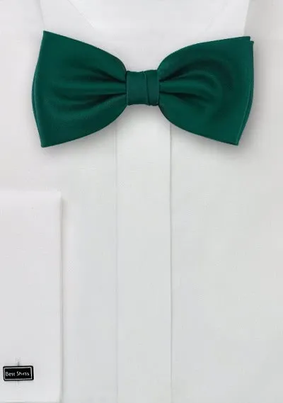 Papillon verde
